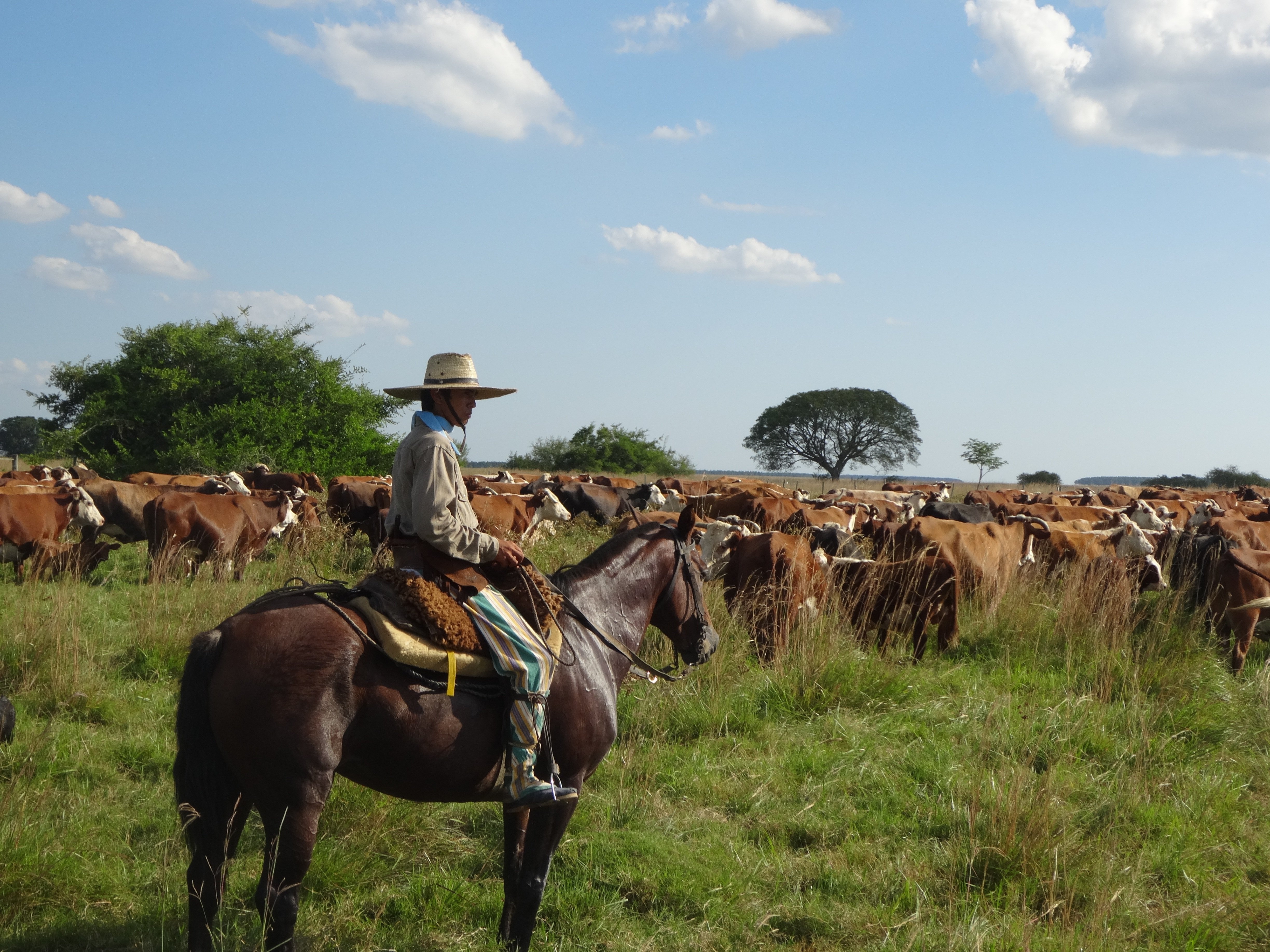 Gaucho culture
